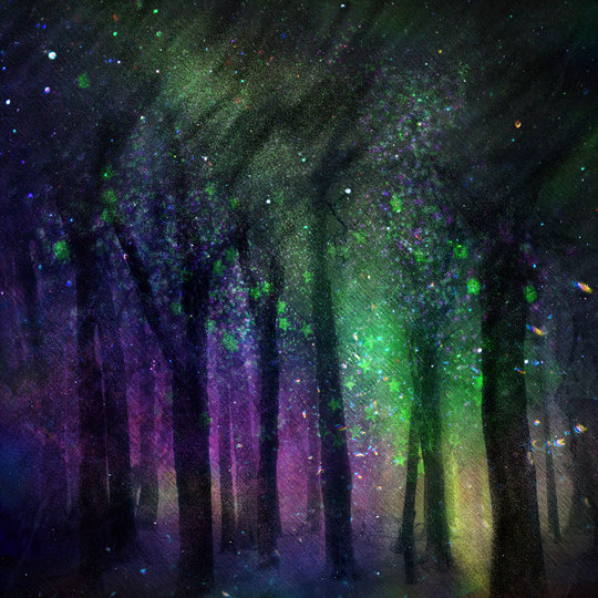梦幻水彩树林树木