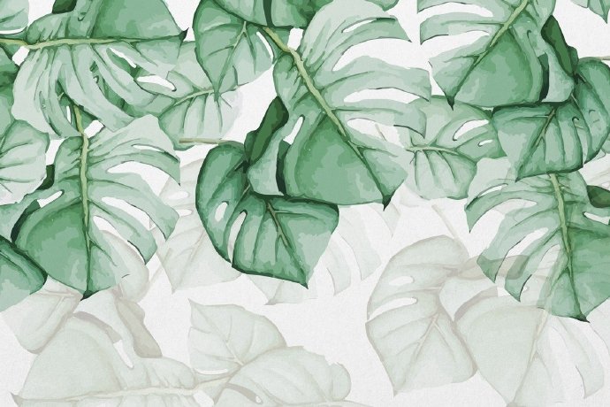 手绘龟甲背热带雨