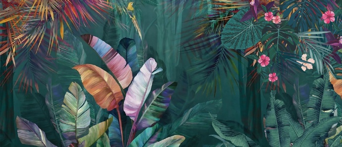 热带植物芭蕉叶子