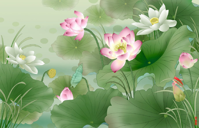 中式荷花韵电视背