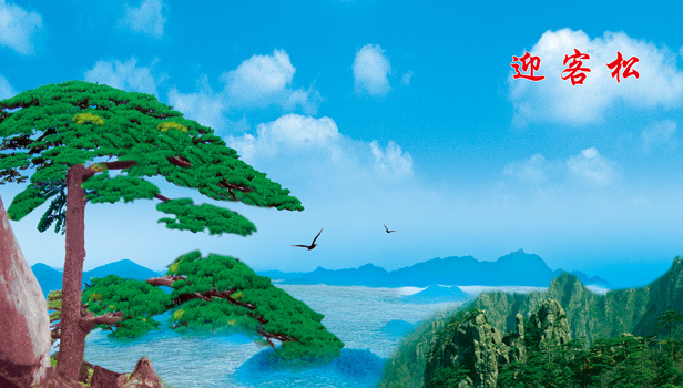 迎客松壁画 海天