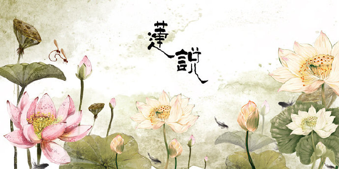 荷花 花 莲说 