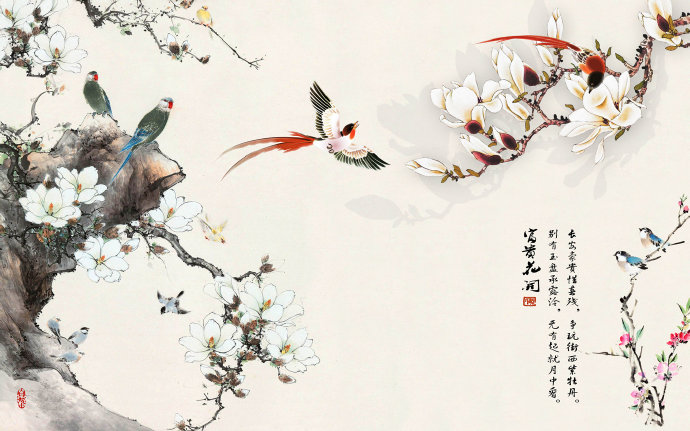 玉兰绶带 玉兰 