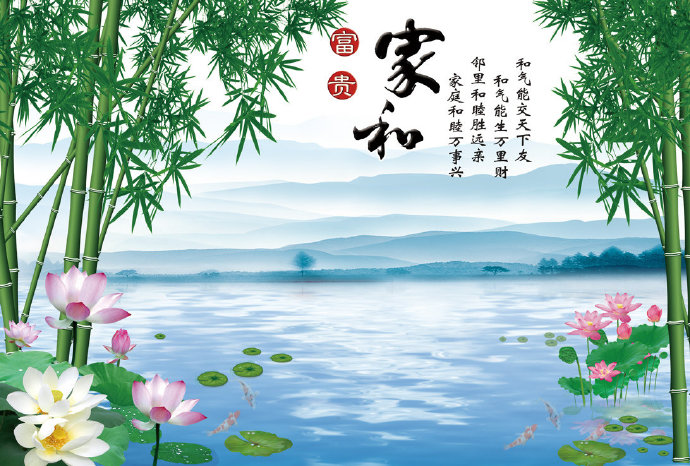 家和富贵竹子电视