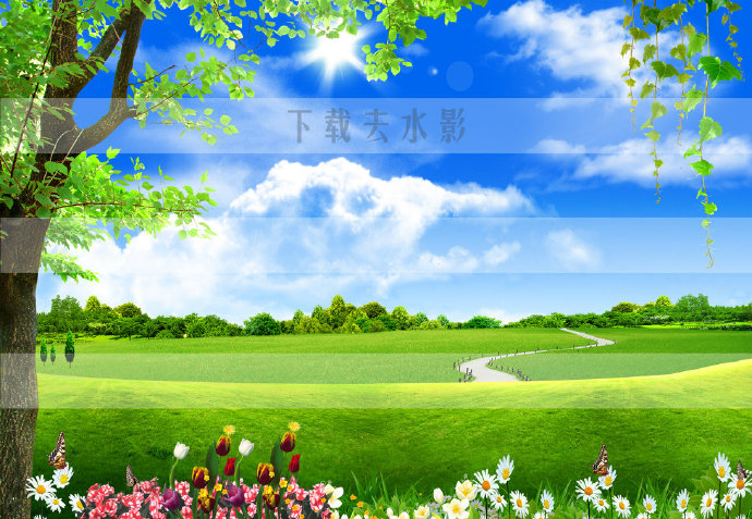 蓝天白云大树风景