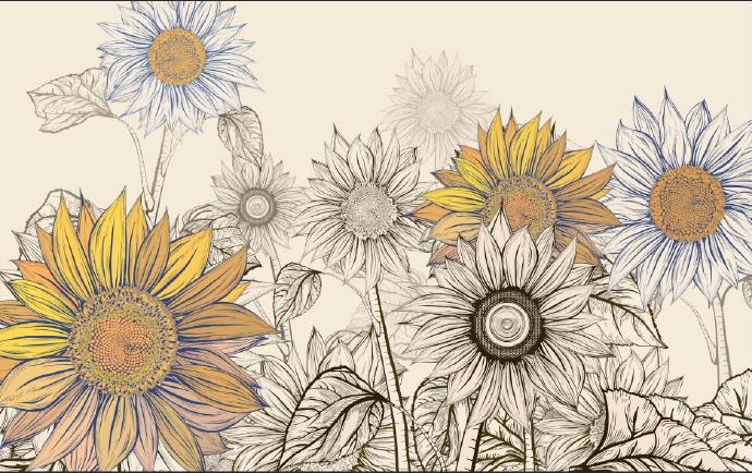 黄色热情向日葵花